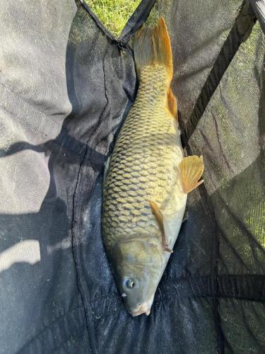 Asd Lago arcobaleno 